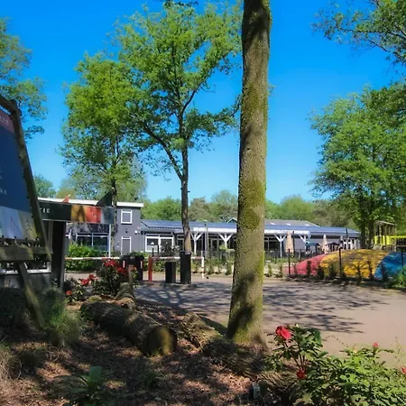 Wood 2 Personen * Baarle-Nassau