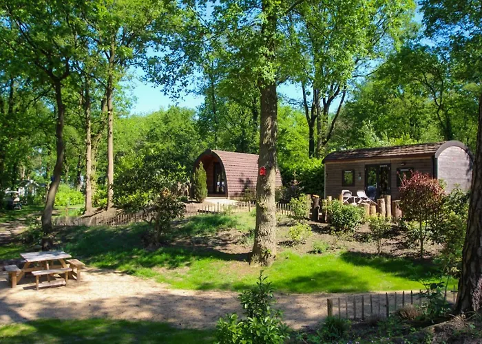 Wood 2 Personen Baarle-Nassau